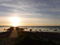 23.10