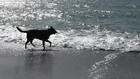 denemarken mooi