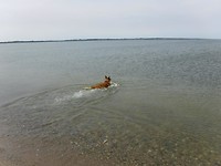 24.2