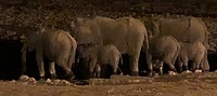 De familie