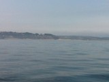 Carteret
