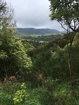 That view !