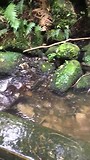 Matai Falls