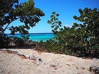 Playa Larga