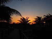 Sunset & palmtrees