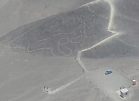 Nazca-kat