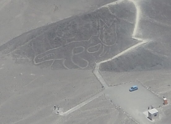 Nazca-kat