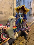 Alpaca… spuugt?