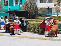 Folklore vrouwtjes met alpaca’s