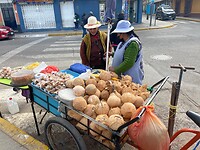 Puno
