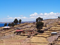 Titicaca