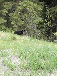 IMG_20190519_160042