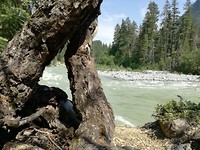 IMG_20190529_145403