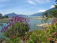 DSC06454