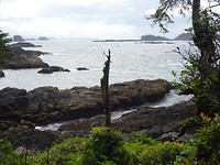 DSC06574