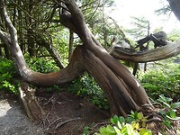 DSC06569