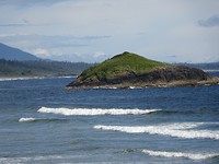 DSC06653