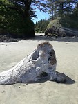 IMG_20190607_162124