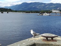 IMG_20190609_151845
