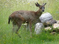 DSC06666