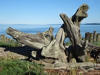 DSC06855