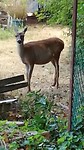 VID_20190616_192029