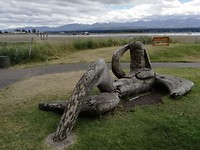 IMG_20190618_152948