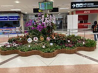 IMG_6001