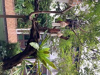 IMG_6025