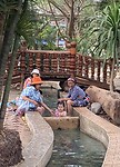 IMG_6047