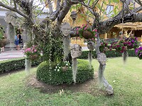 IMG_6085