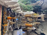 IMG_6387