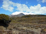 Taranaki Falls Track