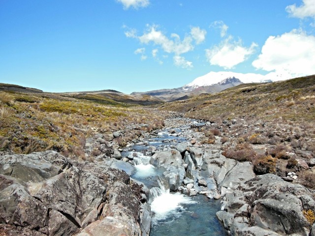 Taranaki Falls Track