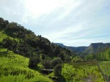 River Valley