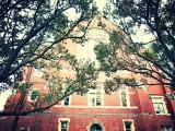 Wellington, University