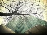 Wellington