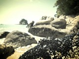 Kaiteriteri
