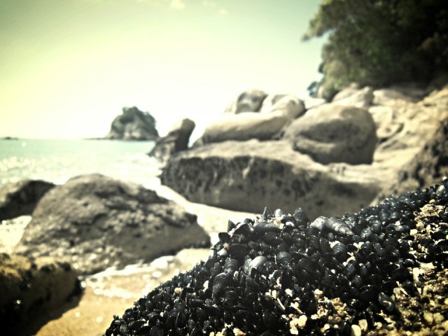 Kaiteriteri