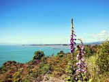 Kaiteriteri