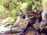 Kaiteriteri