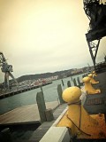 Wellington