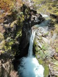 Taranaki Falls Track