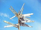 Cape Foulwind Walkway, Tauranga Bay seal colony