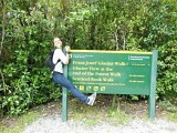 Franz Josef Glacier Walk