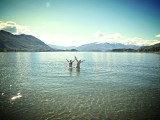 Lake Wanaka
