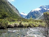 Milford Sound, on the road