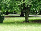 Christchurch, Botanic Garden