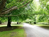Christchurch, Botanic Garden
