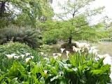 Christchurch, Botanic Garden